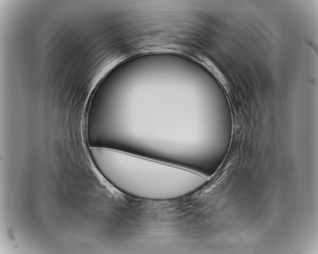 X0000098040909200803281429