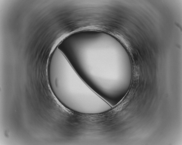 X0000098040910200803281429