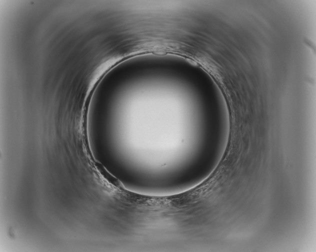 X0000098040912200803281429
