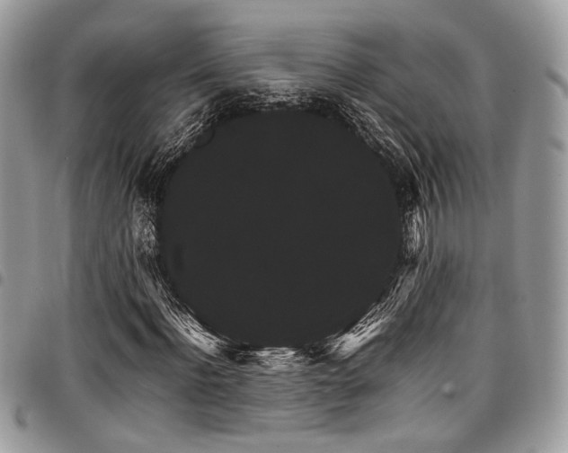X0000098040916200803281428