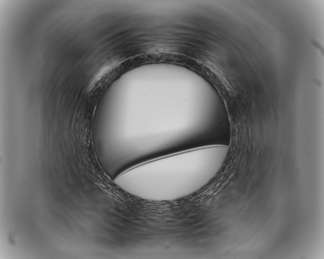 X0000098040919200803281428