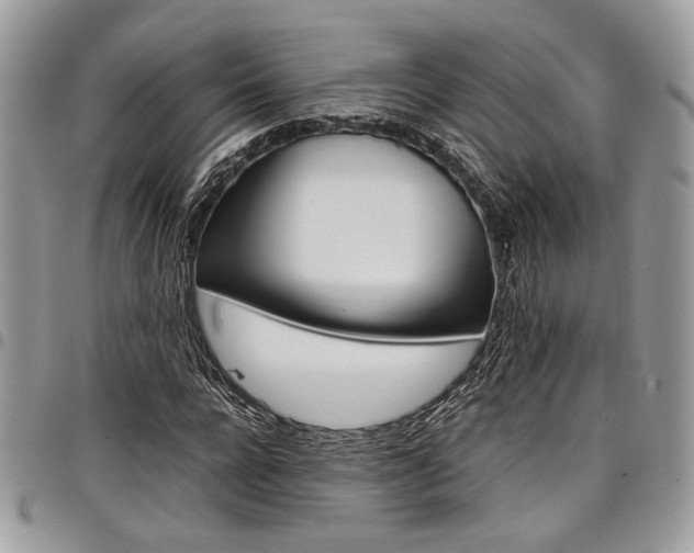 X0000098040920200803281428