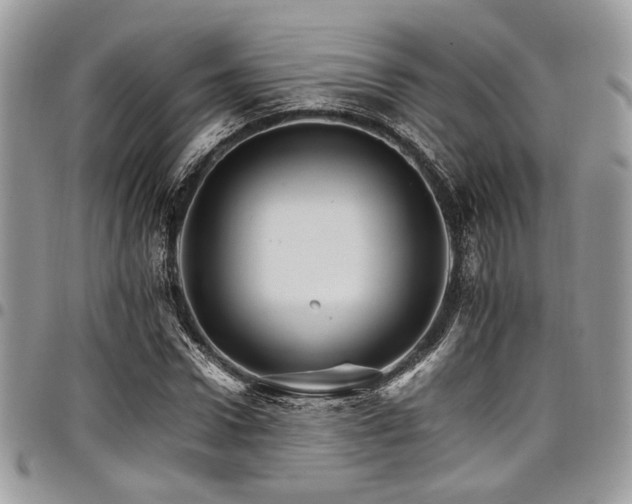 X0000098040922200803281428