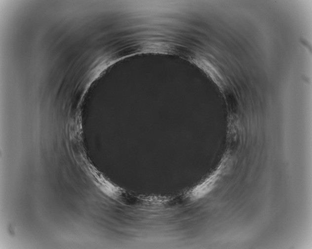X0000098040923200803281428