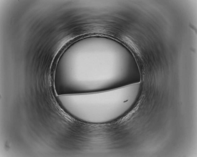 X0000098040924200803281428