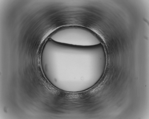 X0000098040925200803281428