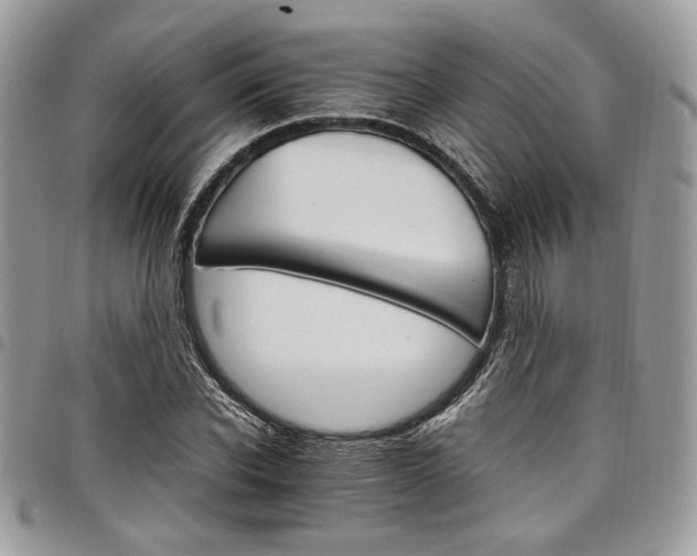 X0000098040926200803281428