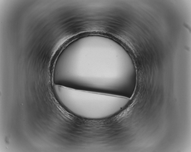 X0000098040927200803281428