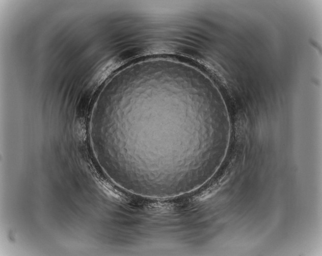 X0000098040929200803281429