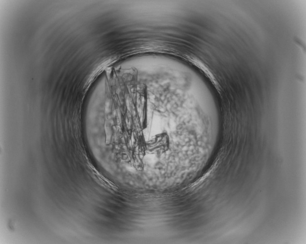 X0000098040930200803281429