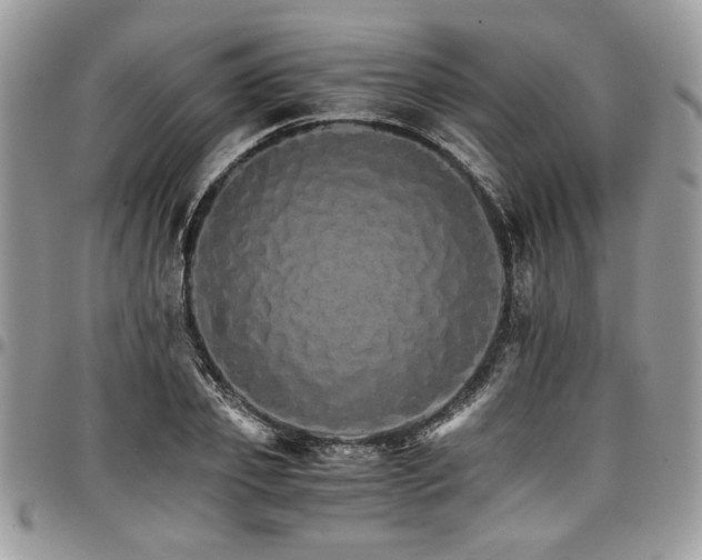 X0000098040933200803281429