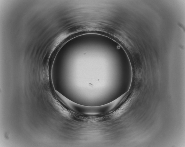 X0000098040934200803281429