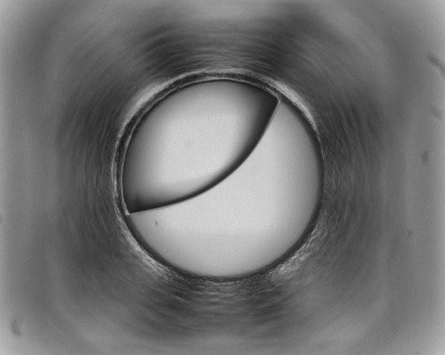 X0000098040935200803281429