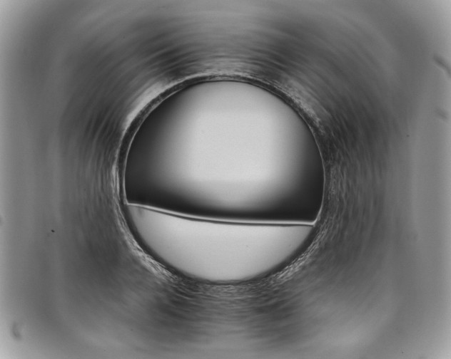 X0000098040936200803281429