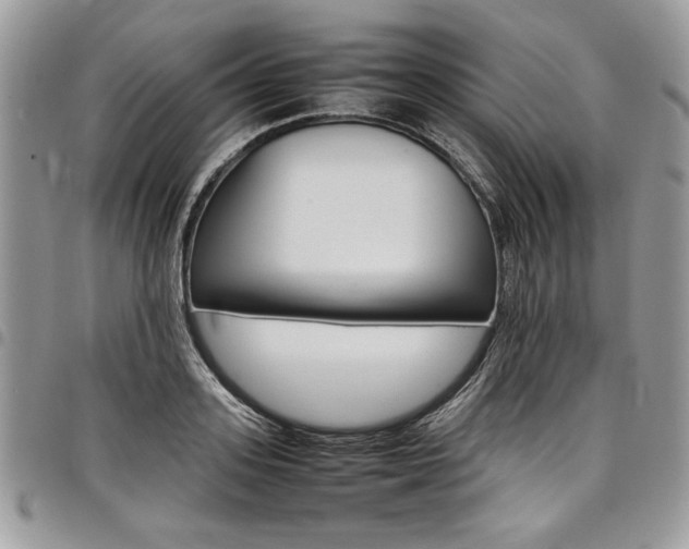 X0000098040939200803281429