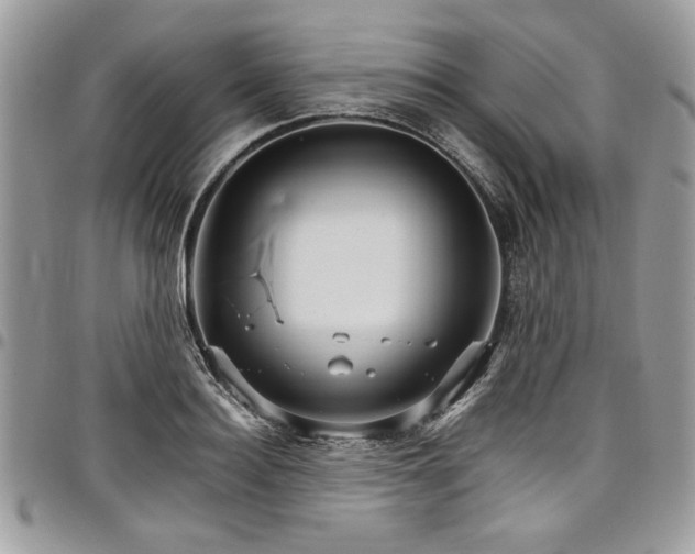 X0000098040940200803281429