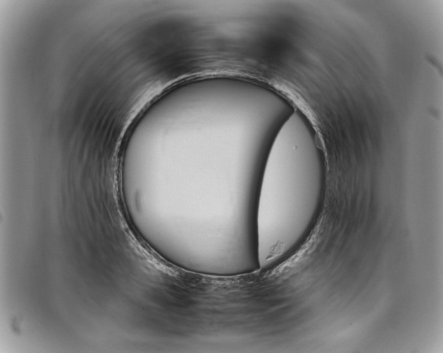 X0000098040941200803281429