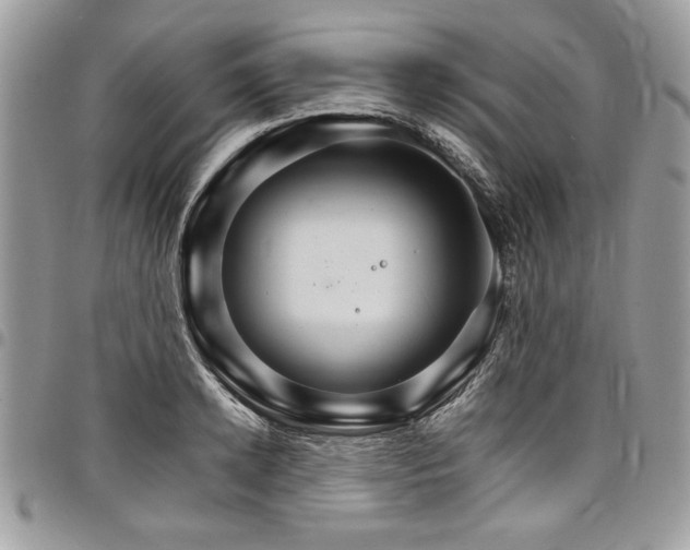 X0000098040942200803281429