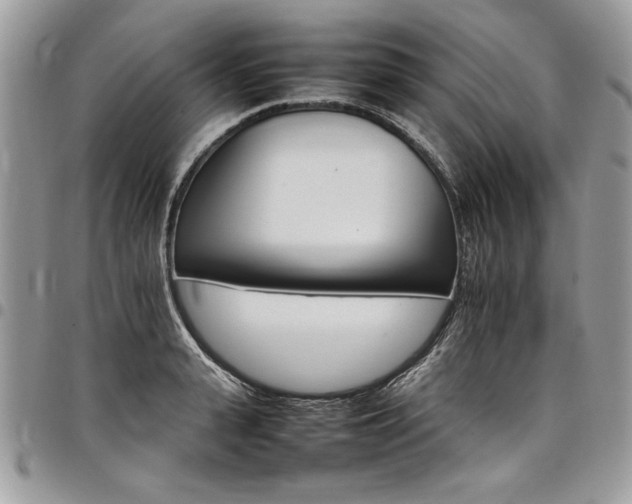 X0000098040943200803281429
