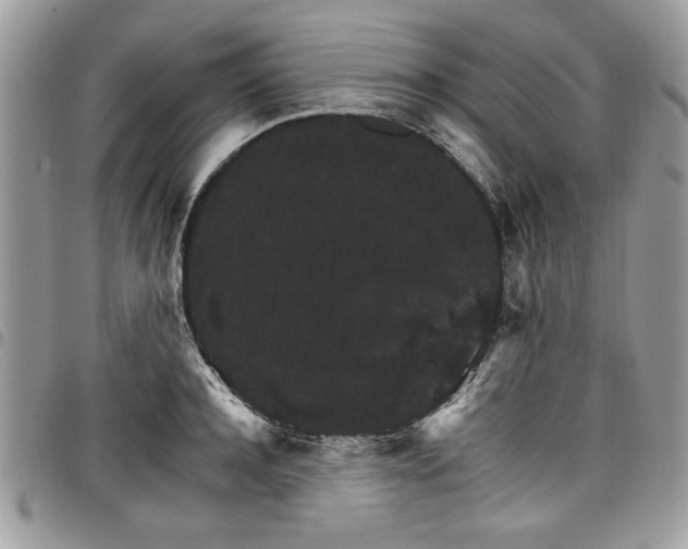 X0000098040944200803281429