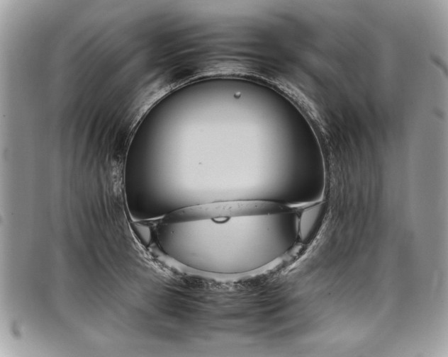 X0000098040945200803281429