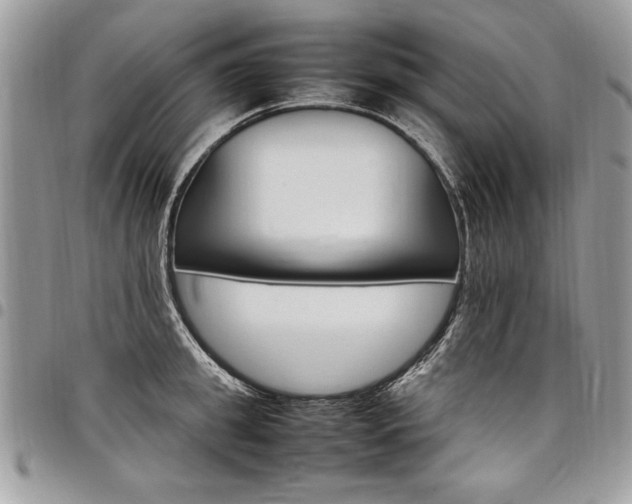X0000098040949200803281429