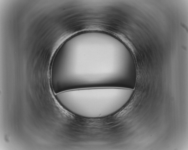 X0000098040951200803281429