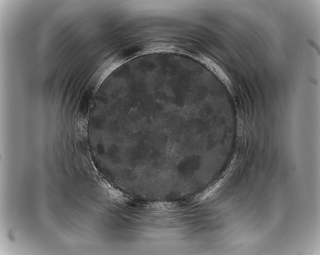 X0000098040953200803281429