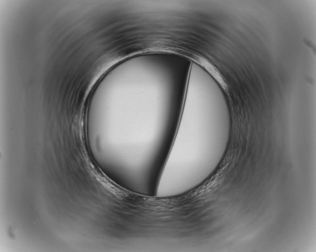 X0000098040955200803281429