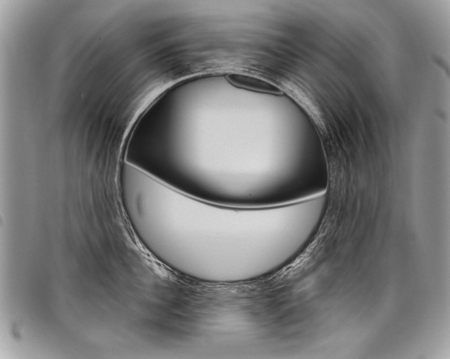 X0000098040956200803281429