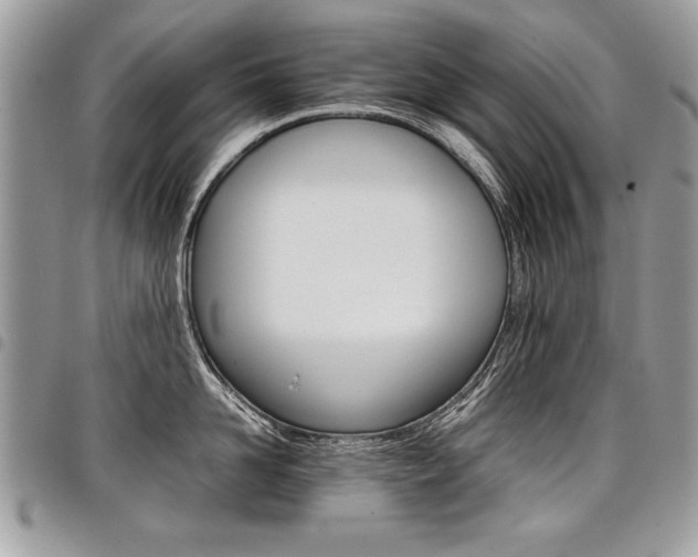 X0000098040958200803281429