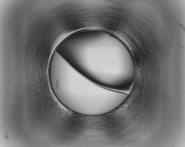 X0000098040959200803281429
