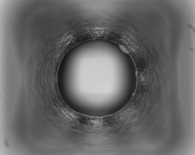 X0000098040961200803281428