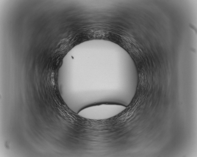 X0000098040962200803281428