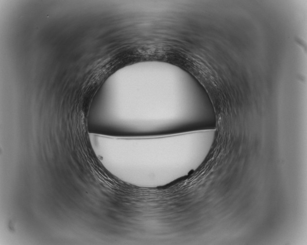X0000098040963200803281428