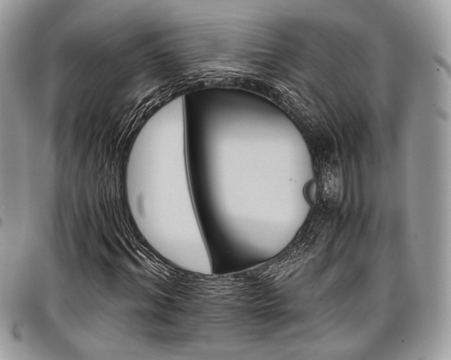 X0000098040964200803281428
