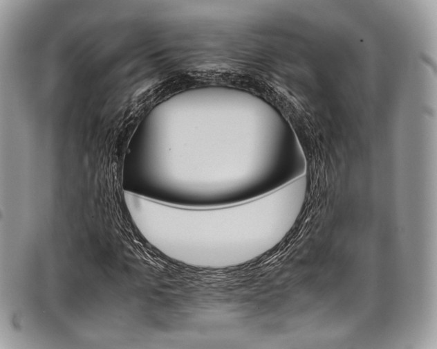 X0000098040965200803281428