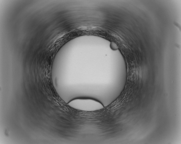 X0000098040966200803281428