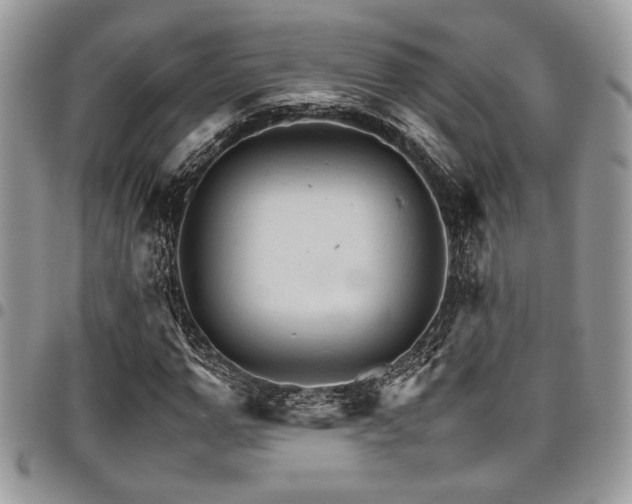 X0000098040967200803281428