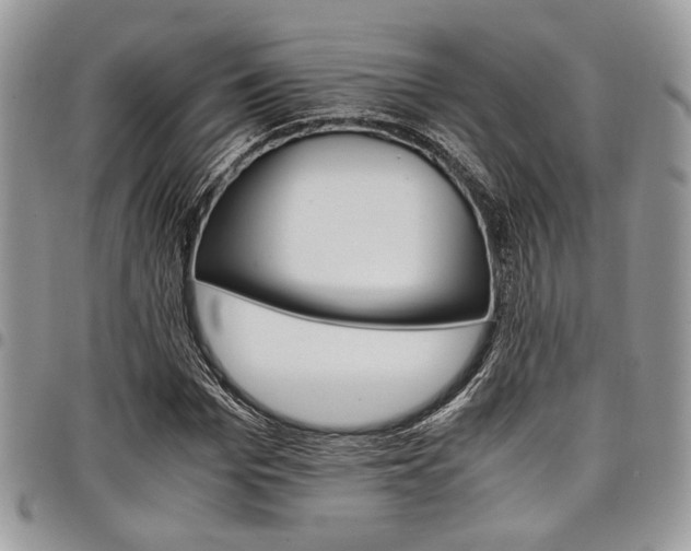 X0000098040969200803281428