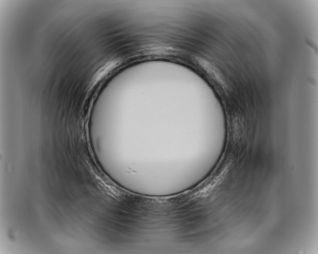 X0000098040970200803281428