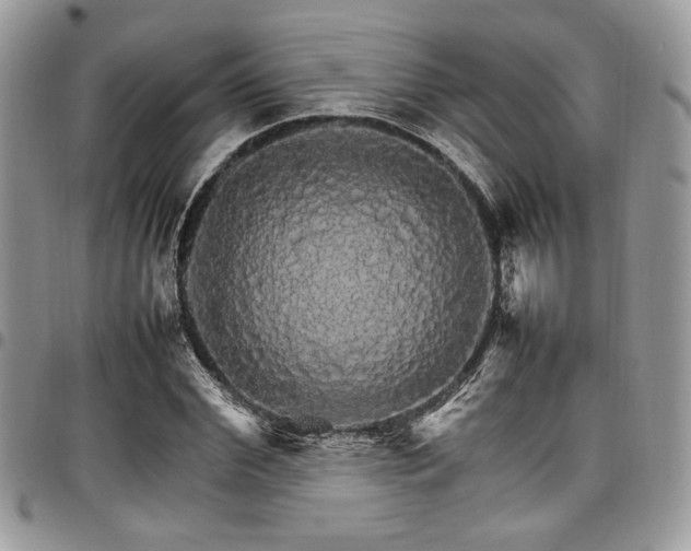 X0000098040972200803281428