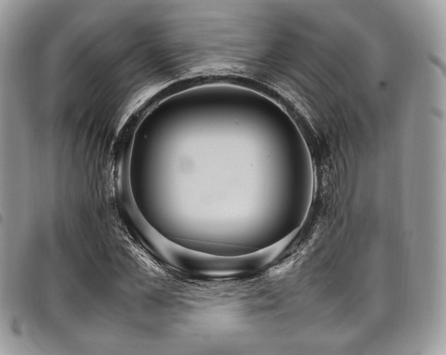 X0000098040973200803281428