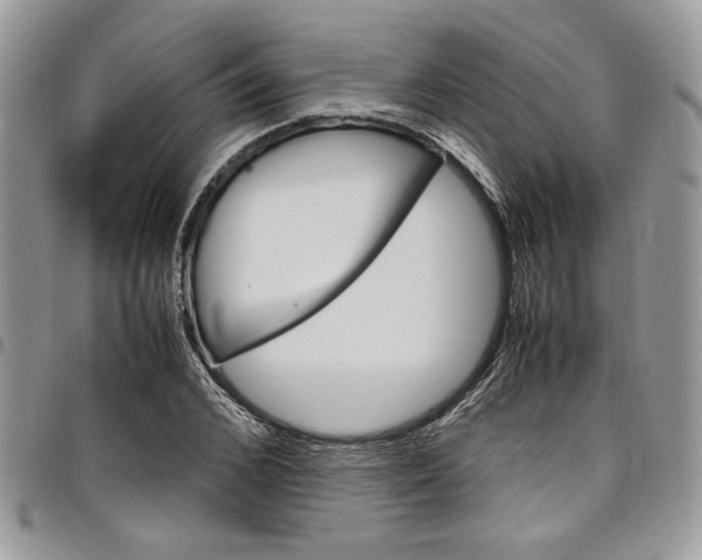 X0000098040976200803281428