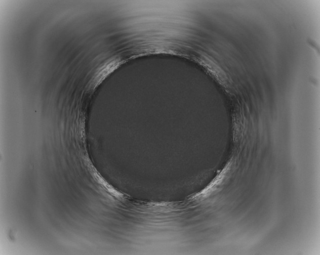 X0000098040977200803281428