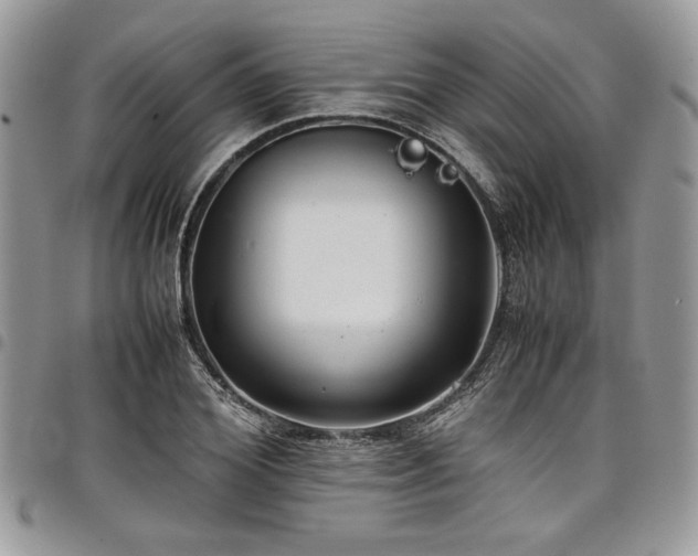 X0000098040980200803281428