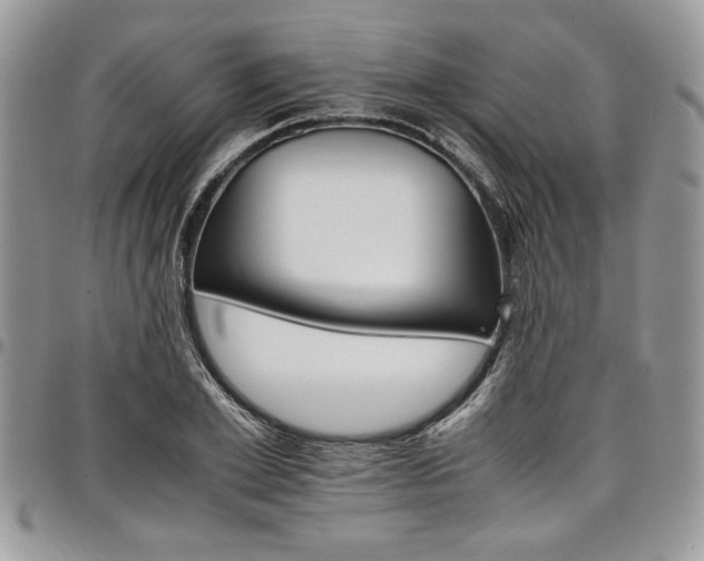 X0000098040981200803281428
