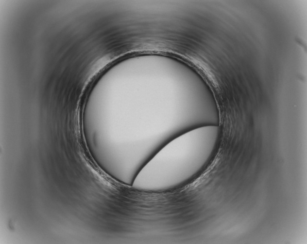 X0000098040982200803281428