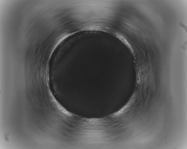 X0000098040984200803281428