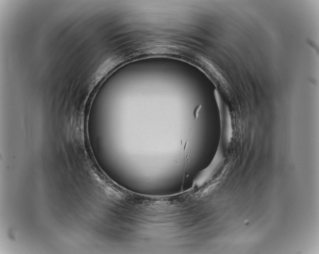 X0000098040986200803281428